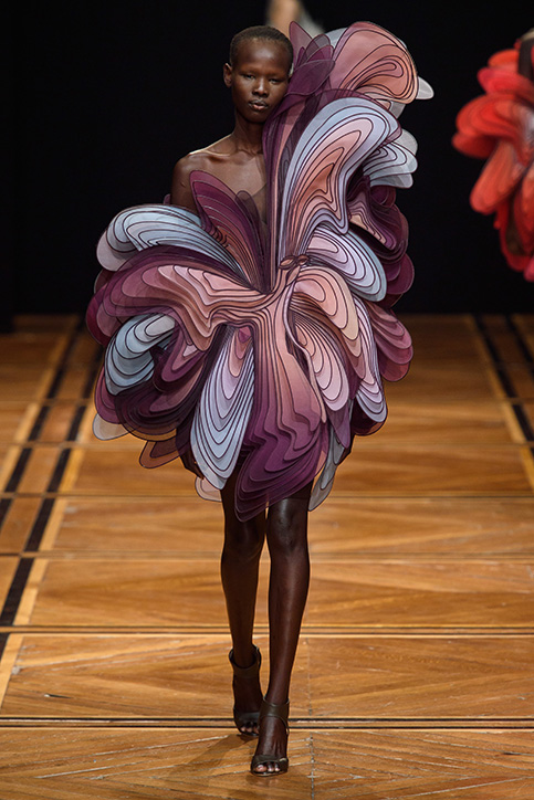 Iris van Herpen-designed dress