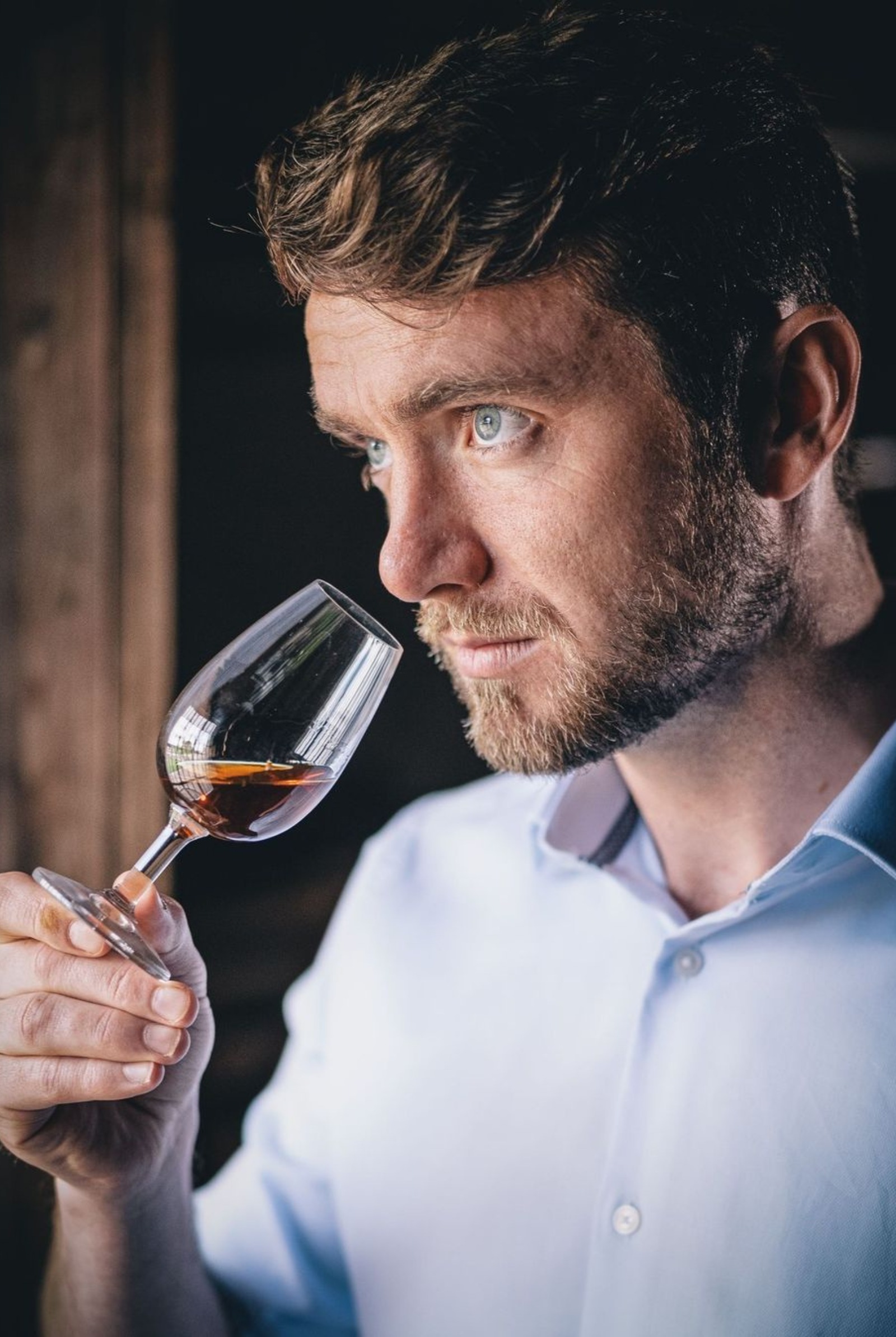 The Macallan whisky drinking guide